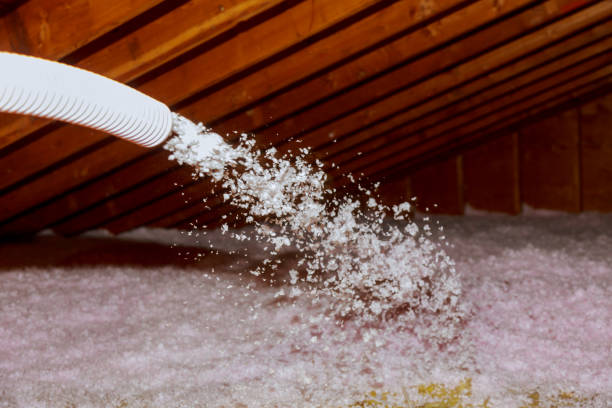 Best Insulation Installation Cost  in USA